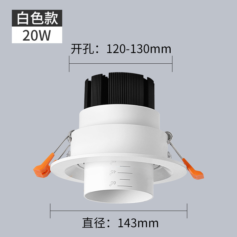 20W调光调色天花灯 调光调色温COB天花射灯 LED天花灯厂家 20Wcob天花灯